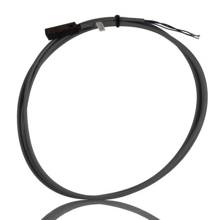 Pepperl + Fuchs NBN4-F29-E2 产品图片