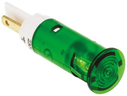 Signal Construct SKGU10728 产品图片