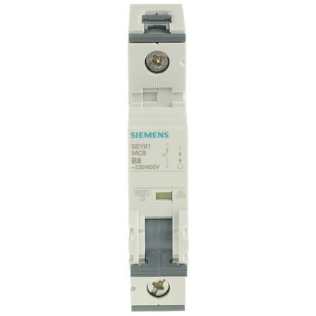 Siemens 5SY6106-6 产品图片