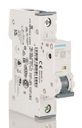 Siemens 5SY6102-7 产品图片