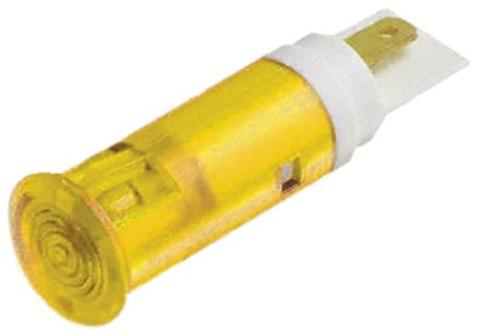 Signal Construct SKGD05101 产品图片