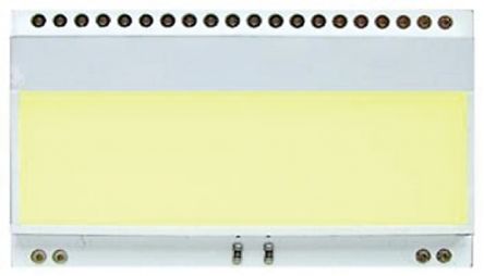 Display Visions EA LED55x31-G 产品图片