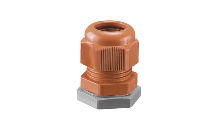 HENSEL AKMF20 产品图片