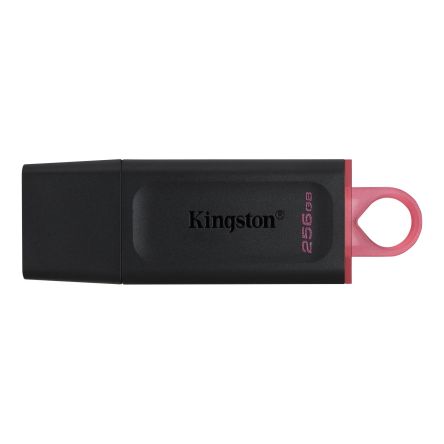 Kingston DTX/256GB 产品图片
