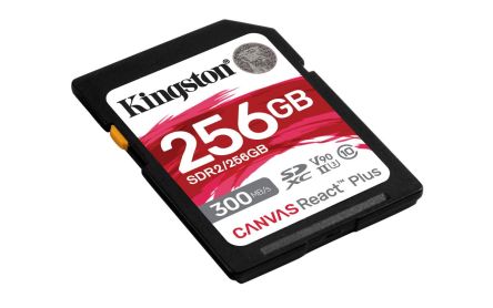 Kingston SDR2/256GB 产品图片
